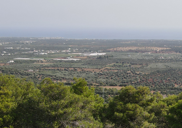 Vista dalla camera dell'hotel