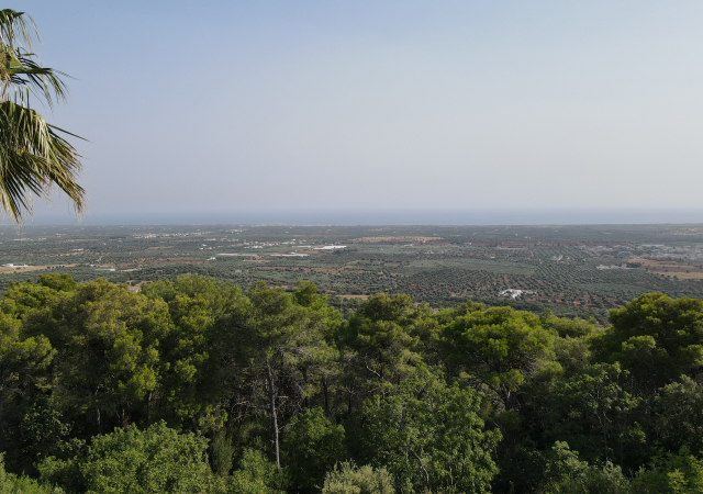 Vista mare dall'hotel
