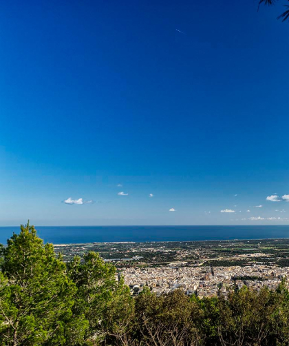 Vista dalla selva di Fasano
