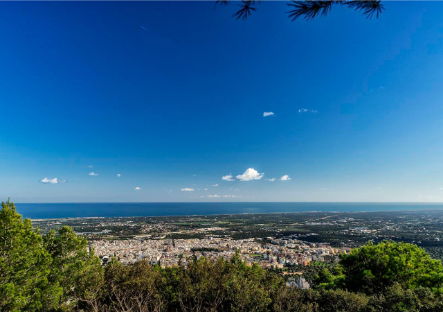Vista panoramica dalla selva di Fasano